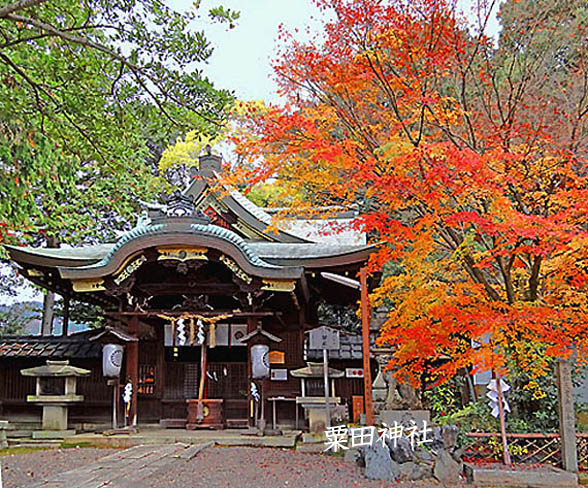 粟田神社紅葉