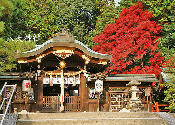 京都八大神社2