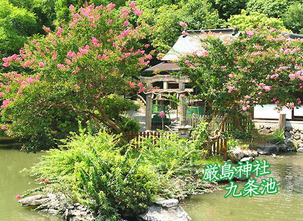 京都御苑厳島神社2