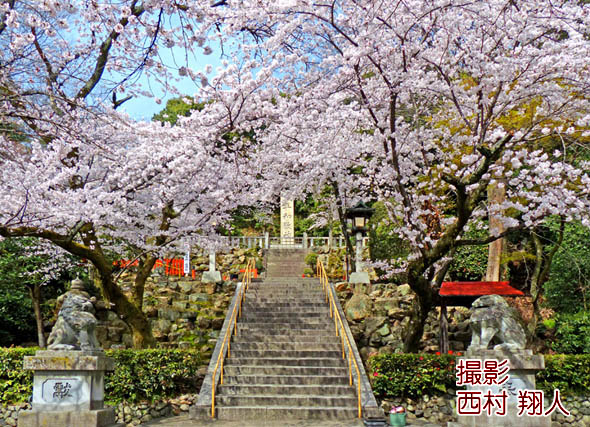 京都建勲神社3