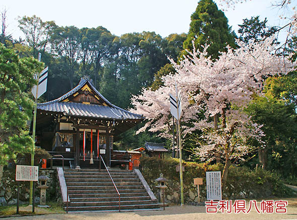 吉利倶八幡宮3