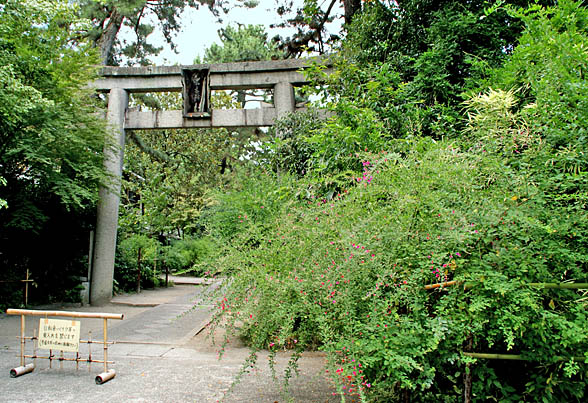 京都梨木神社1