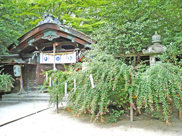 京都梨木神社3