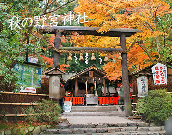 野宮神社黒木の鳥居1