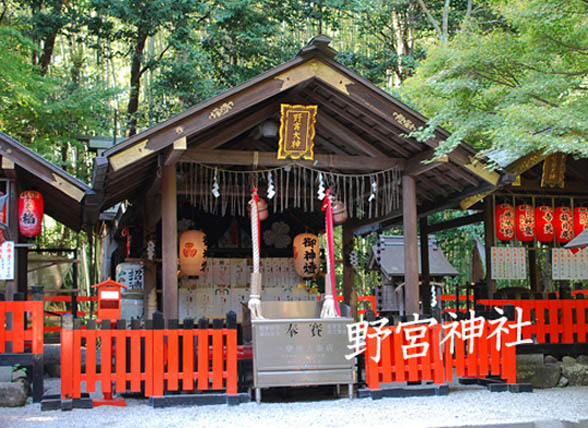 野宮神社黒木の鳥居12