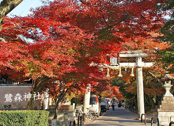 鷺森神社1