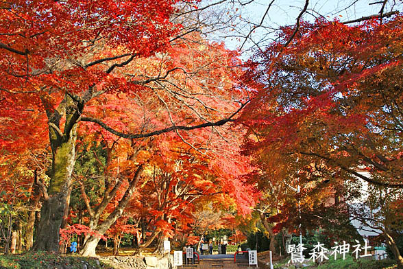 鷺森神社2