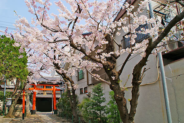 桜宮神社2