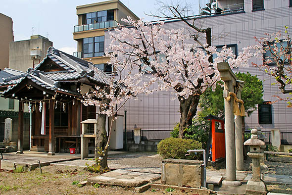 桜宮神社3
