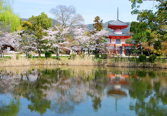 大 覚寺