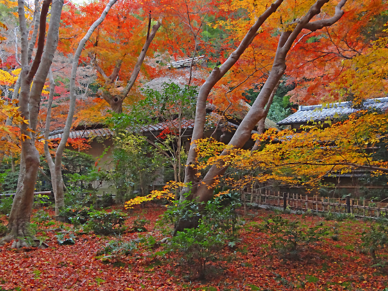 祇王寺1