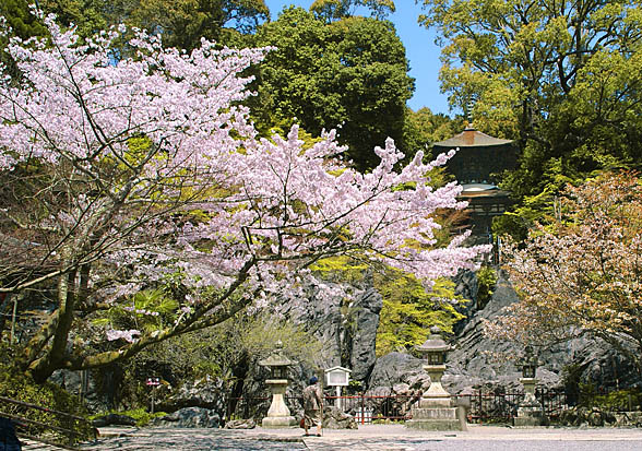 石山寺春2