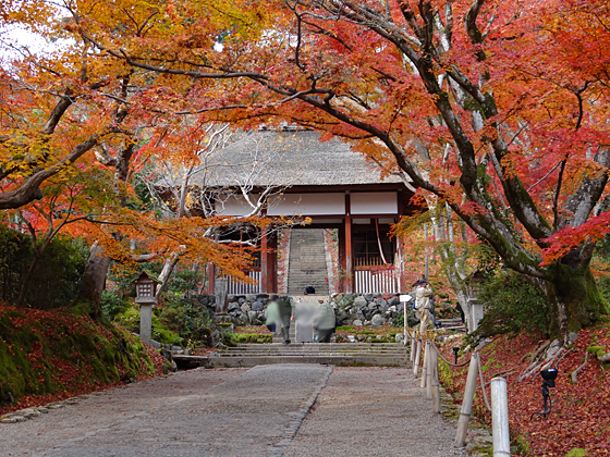 常寂光寺1