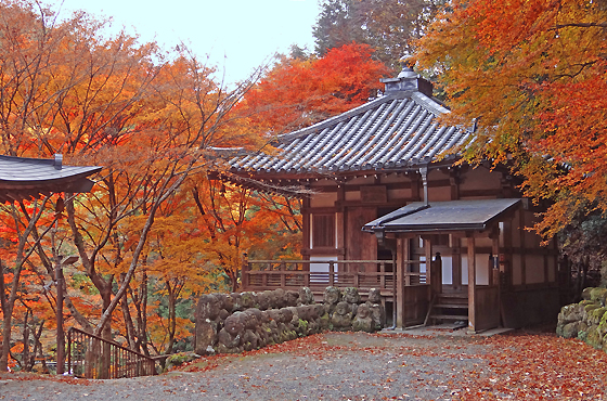 愛宕念仏寺1