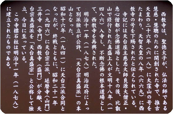 西教寺桜4