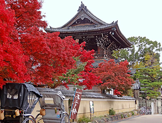 清涼寺仁王門2-3