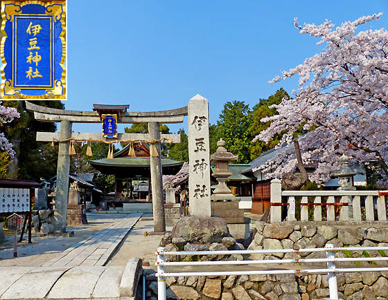 桜咲く伊豆神社2