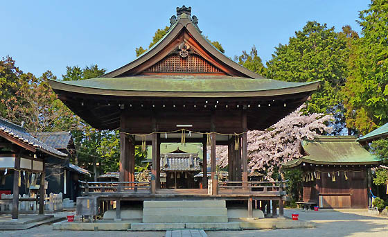 桜咲く伊豆神社4