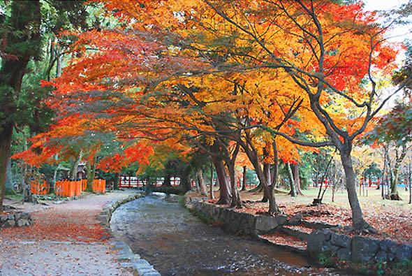 京都観光ガイドならの小川2