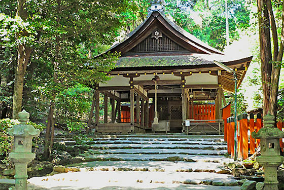 大田神社カキツバタ2