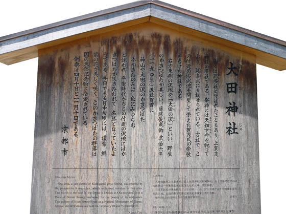 大田神社カキツバタ3